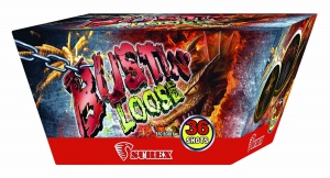 BUSTINS LOOSE